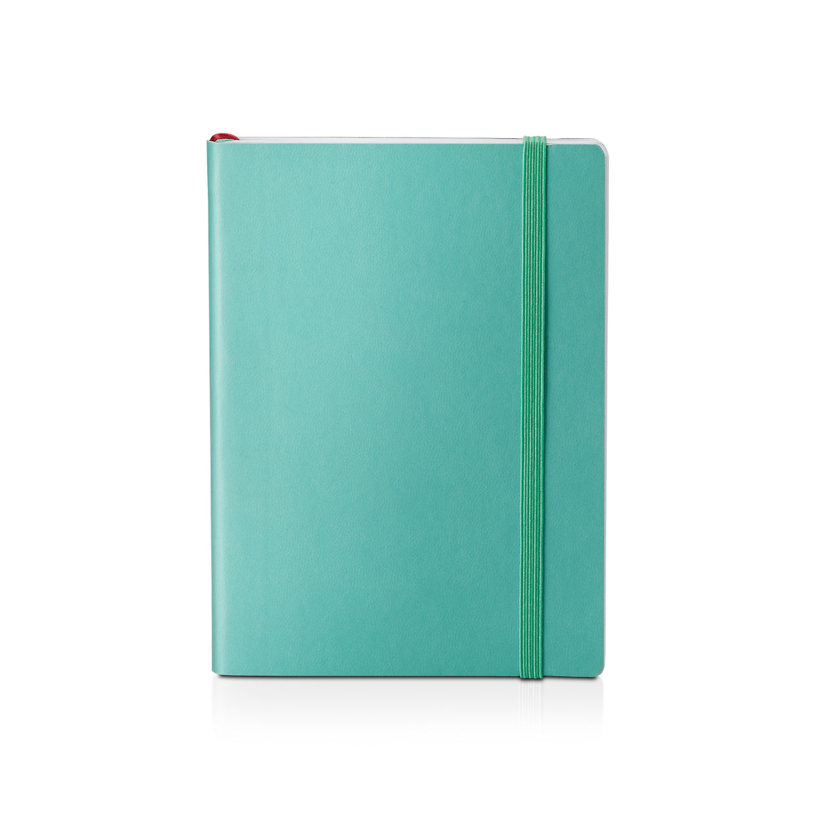 Sheaffer Gift Set Sentinel E321 Emily in Paris Green Matte Finish Ballpoint Pen with Soft Bound Notebook