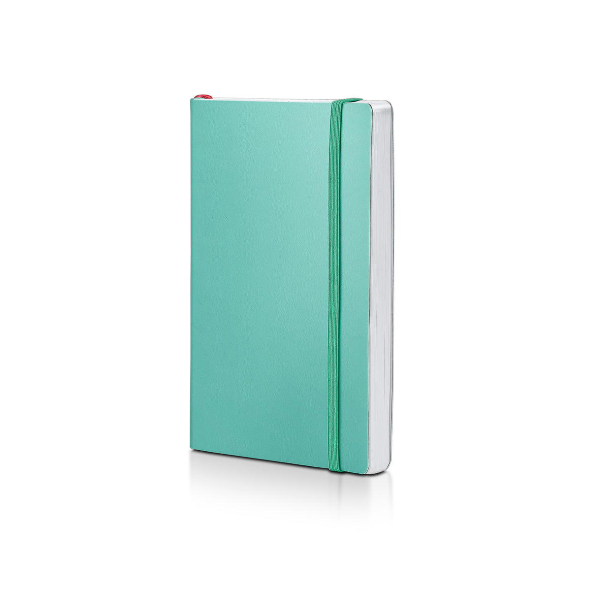 Sheaffer Gift Set Sentinel E321 Emily in Paris Green Matte Finish Ballpoint Pen with Soft Bound Notebook